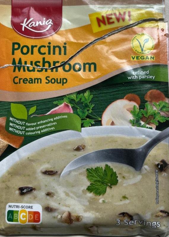 Fotografie - Porcini Mushroom cream soup Kania