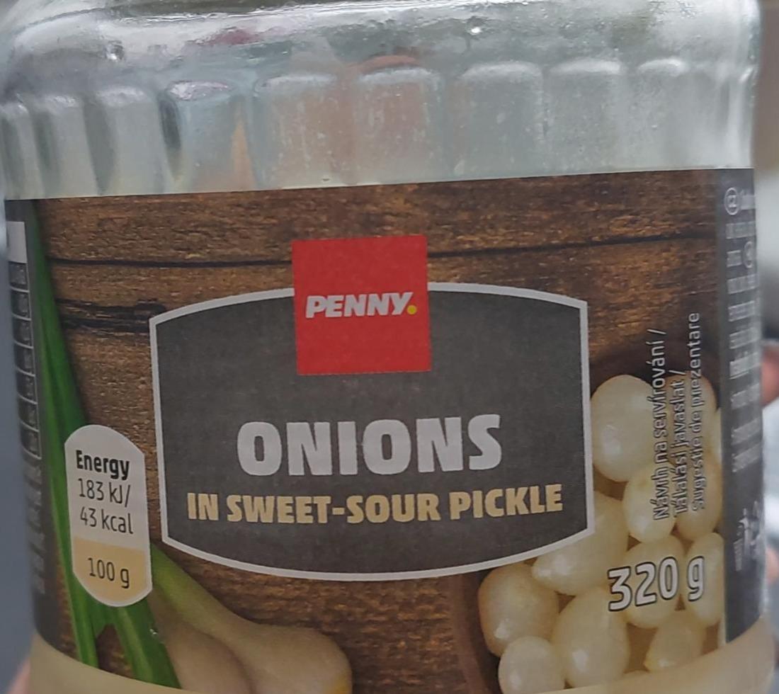 Fotografie - Onions in swet sour pickle Penny