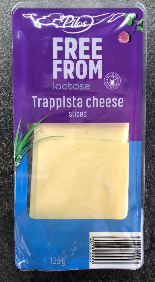 Fotografie - Free From lactose Trappista cheese sliced Pilos