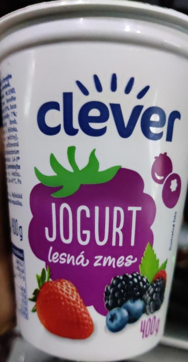 Fotografie - jogurt lesní směs Clever