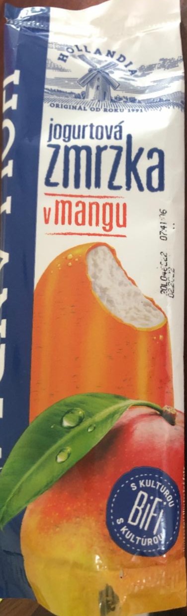 Fotografie - Jogurtová zmrzka v mangu Hollandia