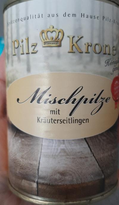 Fotografie - Mischpilze mit Kräuterseitlingen Pilz Krone