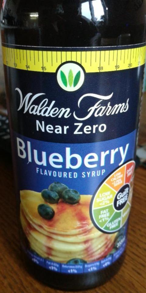 Fotografie - Near Zero Blueberry Flavoured Syrup Walden Farms