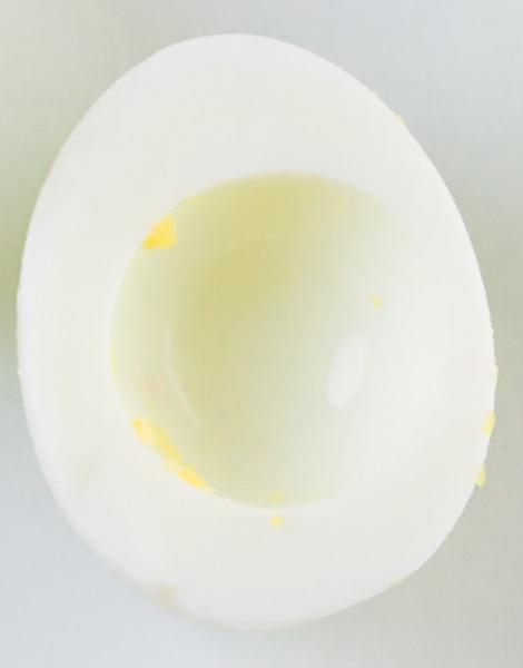 Fotografie - vejce vařené bílek