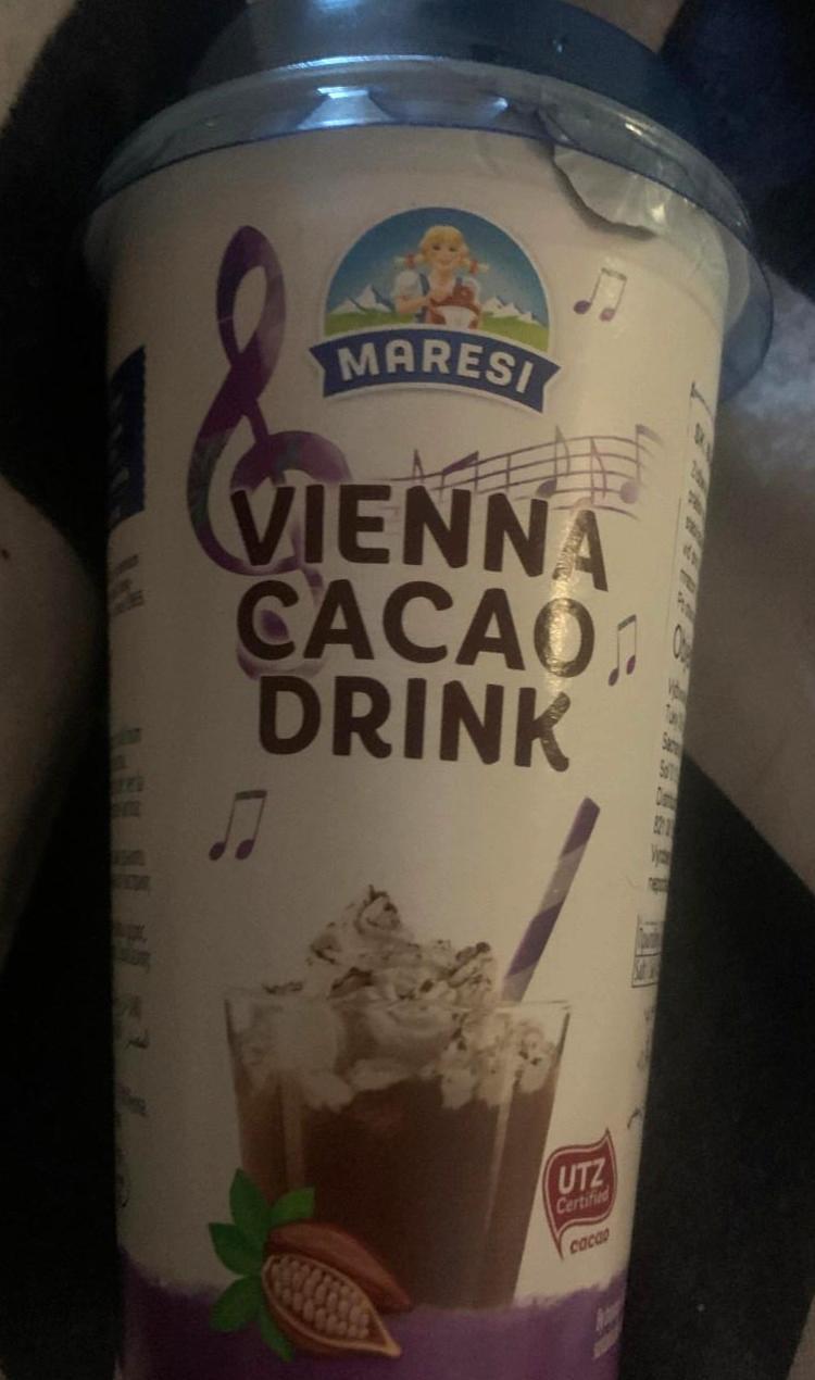 Fotografie - Maresi Vienna cacao drink