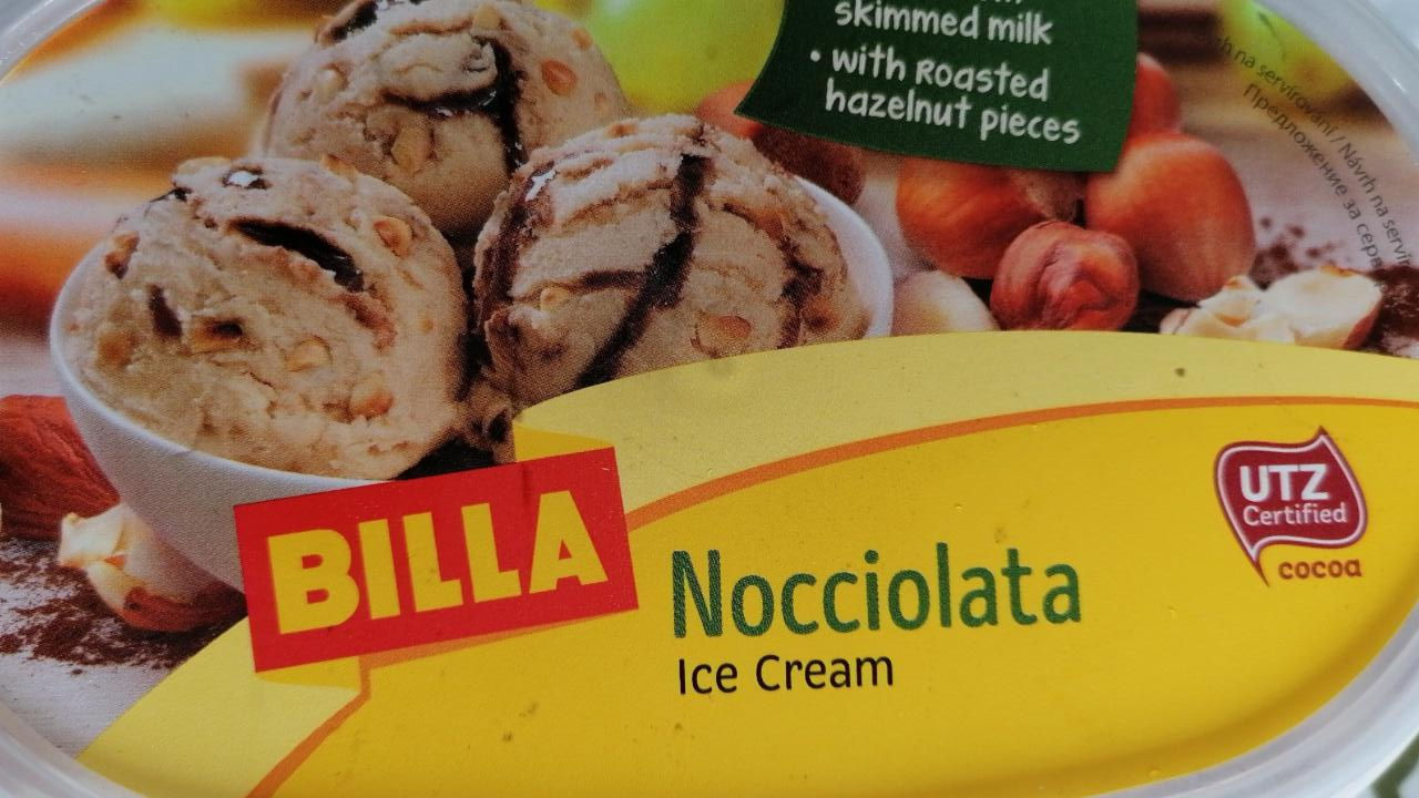 Fotografie - Nocciolata Ice cream Billa