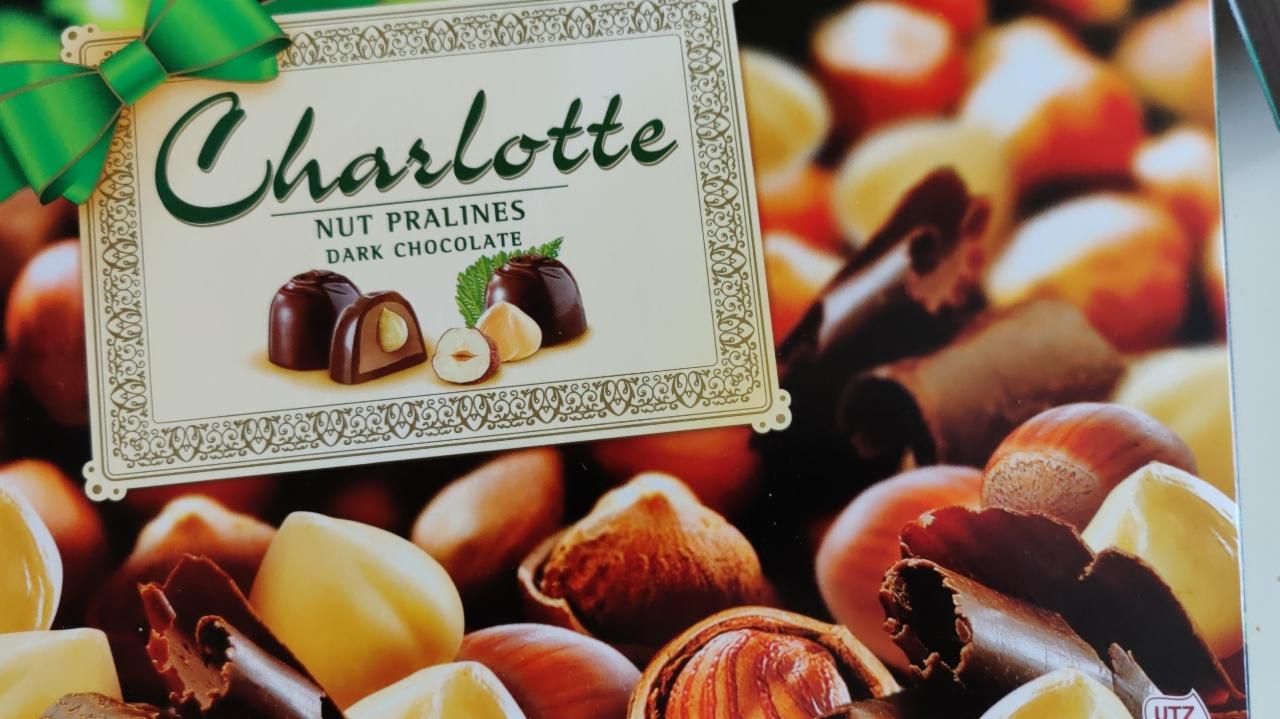 Fotografie - Nut pralines Dark chocolate Charlotte