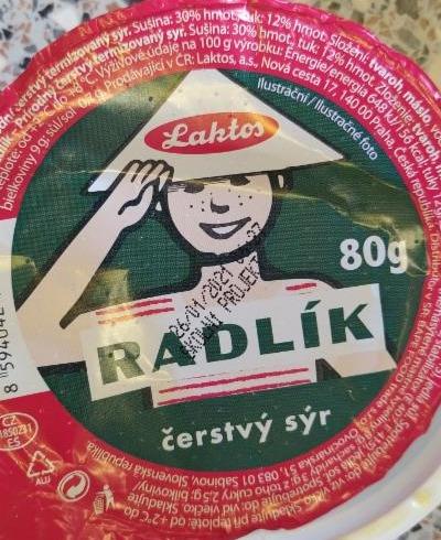 Fotografie - Radlík čerstvý sýr Laktos