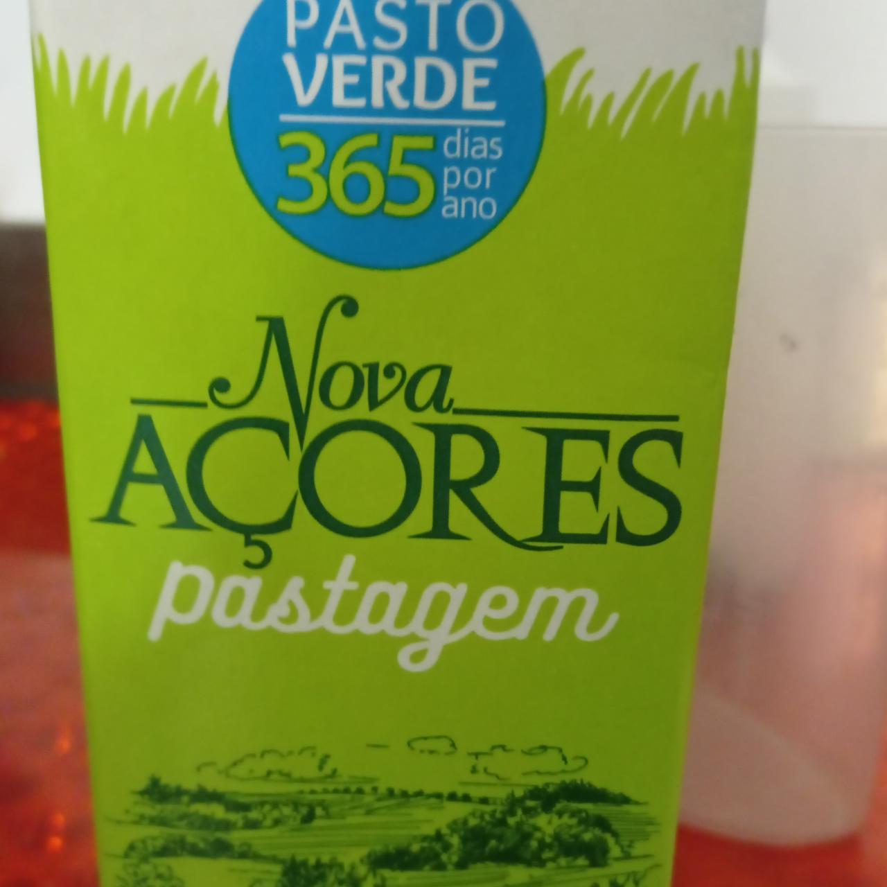 Fotografie - Nova Açores pastagem Meio Gordo