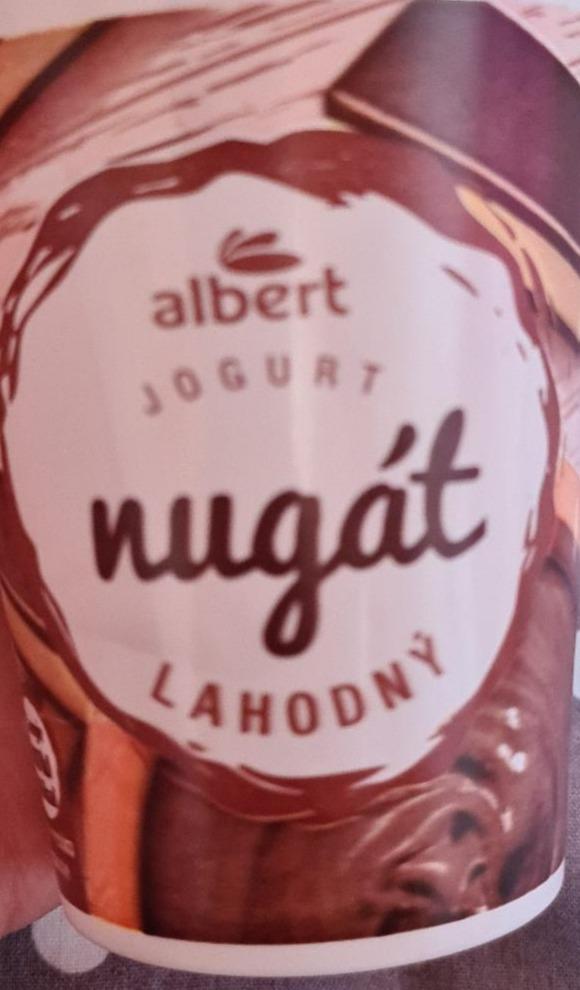 Fotografie - jogurt nugát lahodný Albert