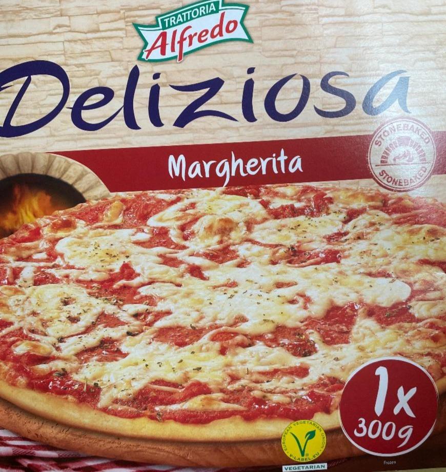 Fotografie - Deliziosa pizza Margherita Trattoria Alfredo