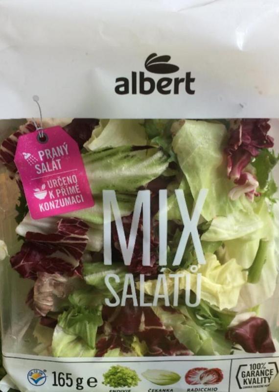 Fotografie - Mix salátů (endivie, čekanka, radicchio) Albert