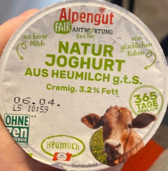 Fotografie - Natur Joghurt aus Heumilch 3,2% fett Alpengut