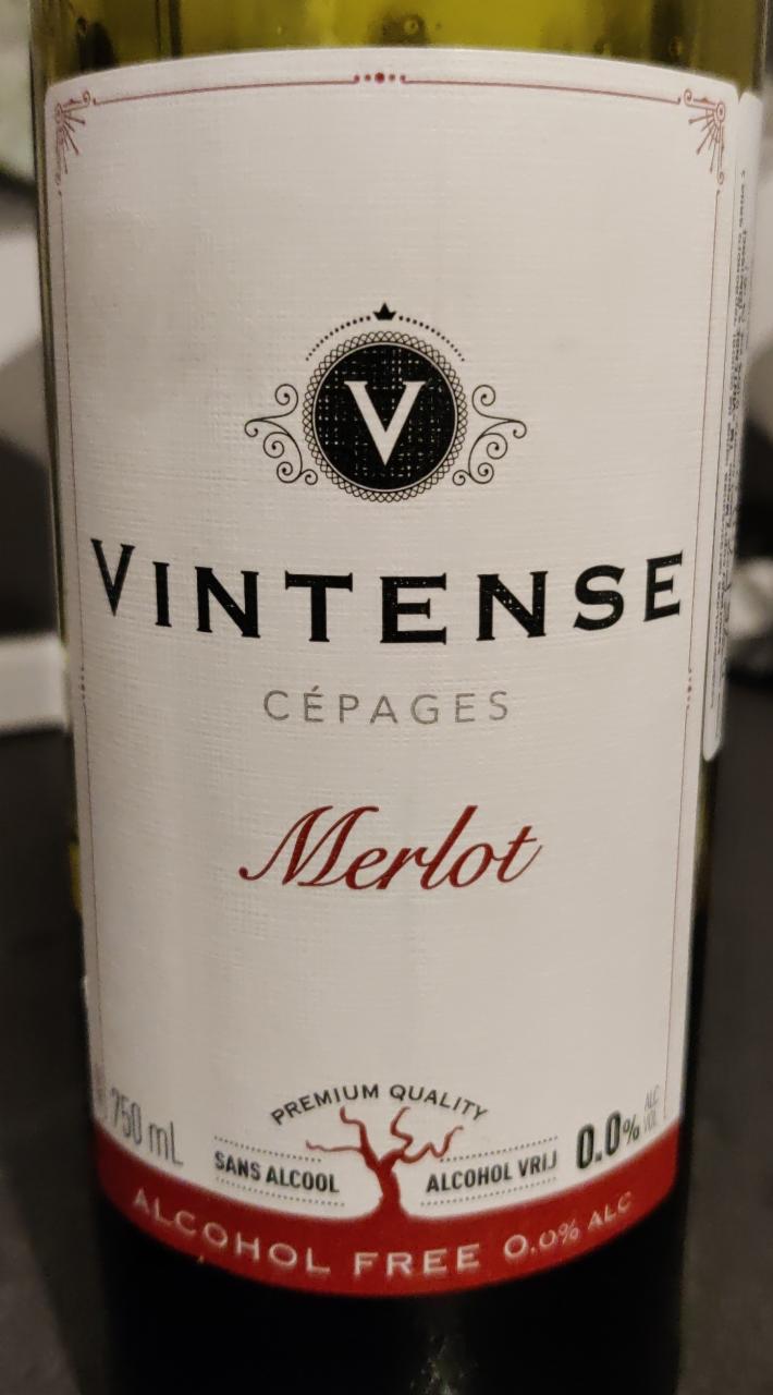 Fotografie - odrůdové nealkoholické víno Merlot Vintense