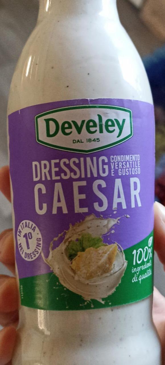 Fotografie - Caesar dressing Develey