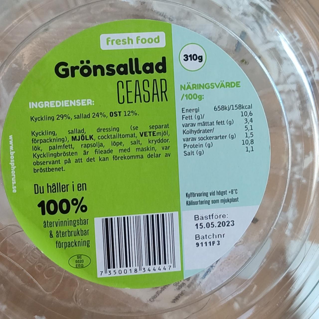 Fotografie - Grönsallad Ceasar Fresh Food
