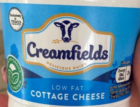 Fotografie - Low fat Cottage Cheese Creamfields