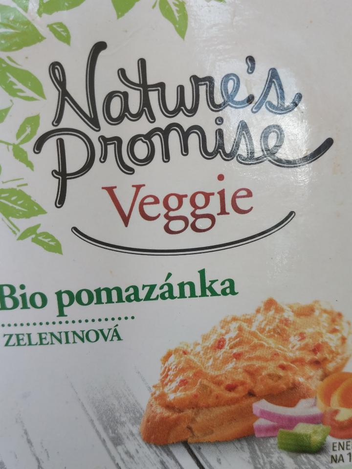 Fotografie - Veggie Zeleninová bio pomazánka Nature's Promise