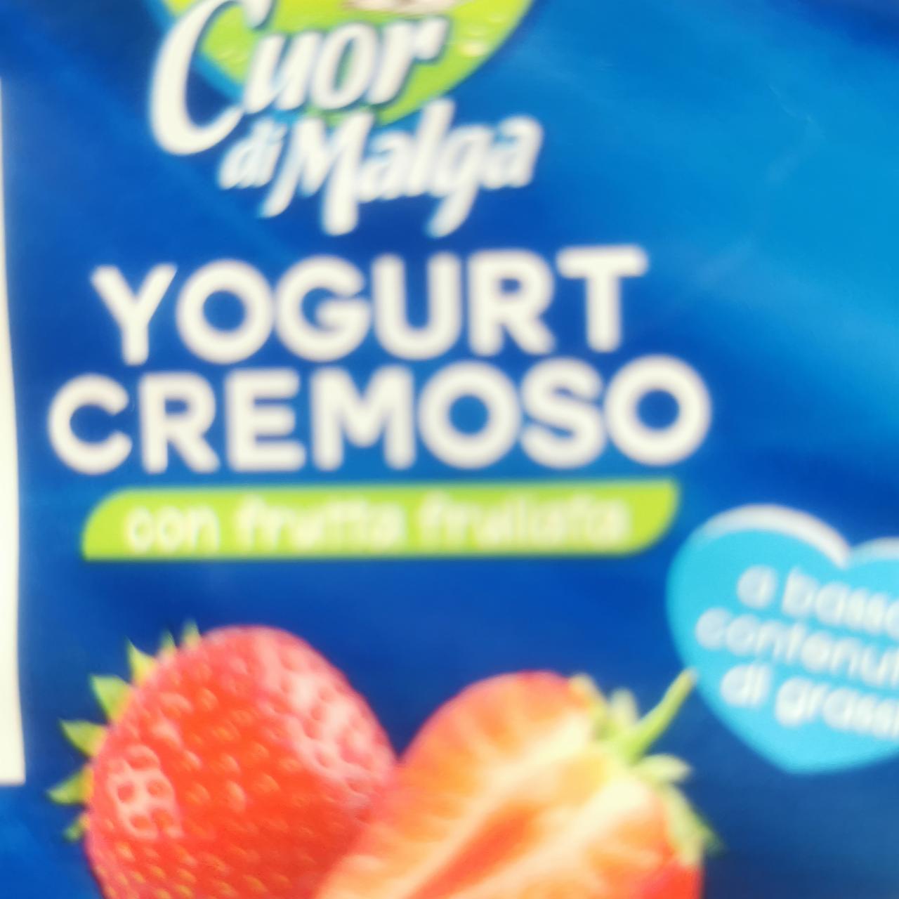 Fotografie - Yogurt cremoso Cuor di Malga