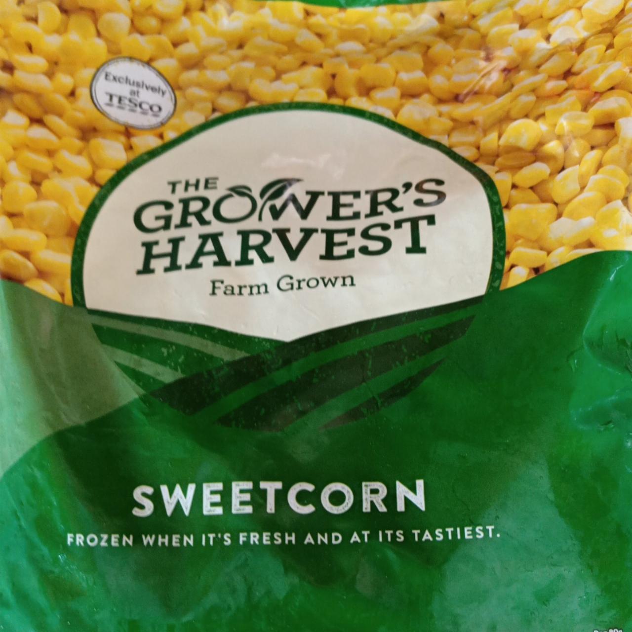 Fotografie - Sweetcorn The Grower's Harvest