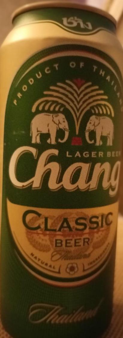 Fotografie - Chang classic beer