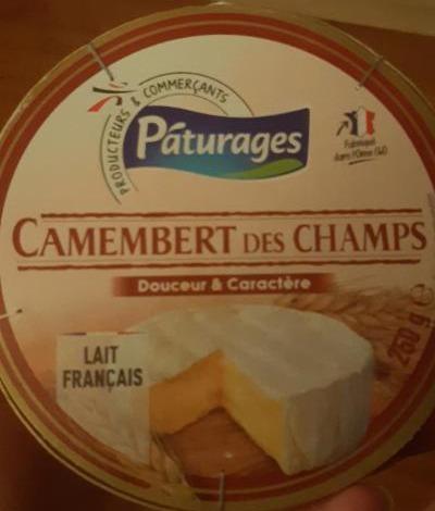 Fotografie - Camembert des champs Pâturages