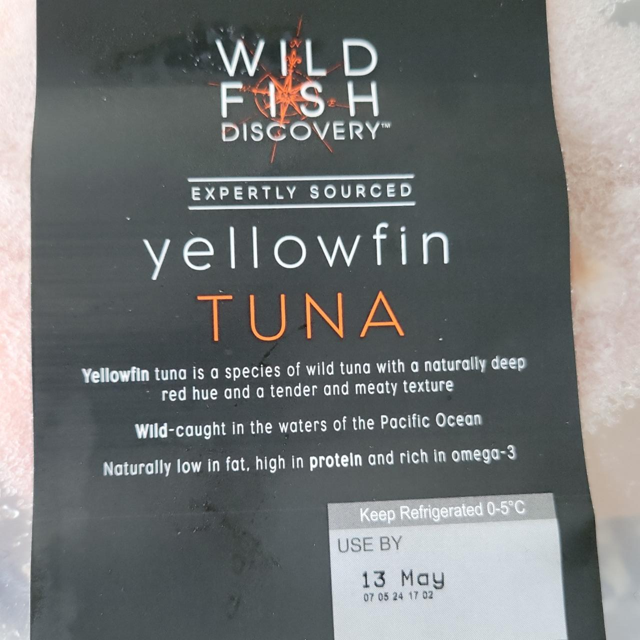 Fotografie - Yellowfin tuna Wild fish discovery