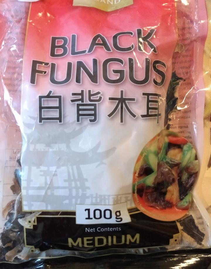 Fotografie - Černá houba čínská Black Fungus Golden Turtle