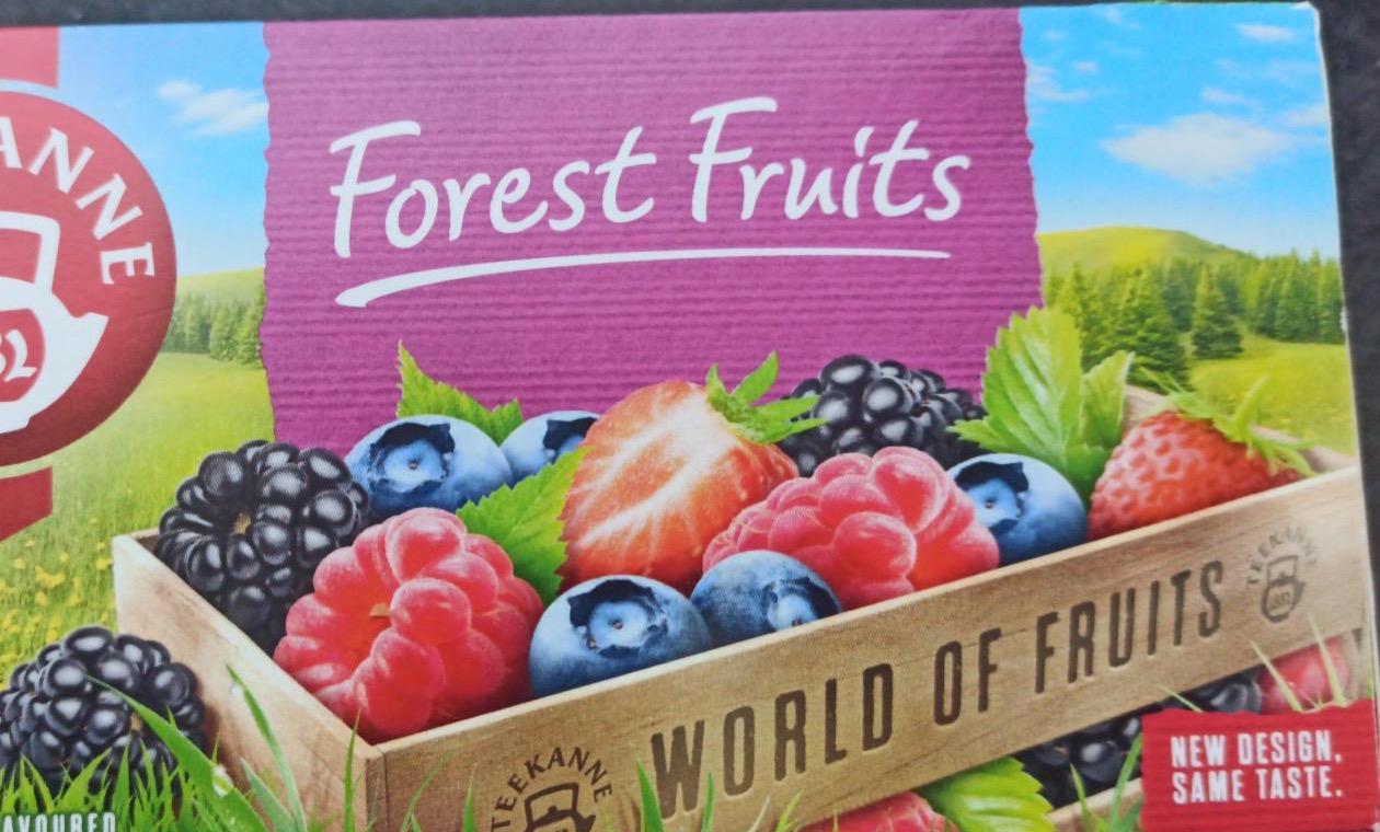 Fotografie - Forest Fruits Teekanne