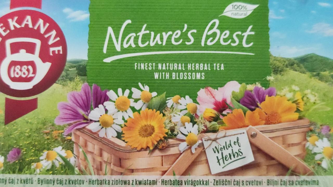 Fotografie - Teekanne Herbs Nature's best čaj bylinný