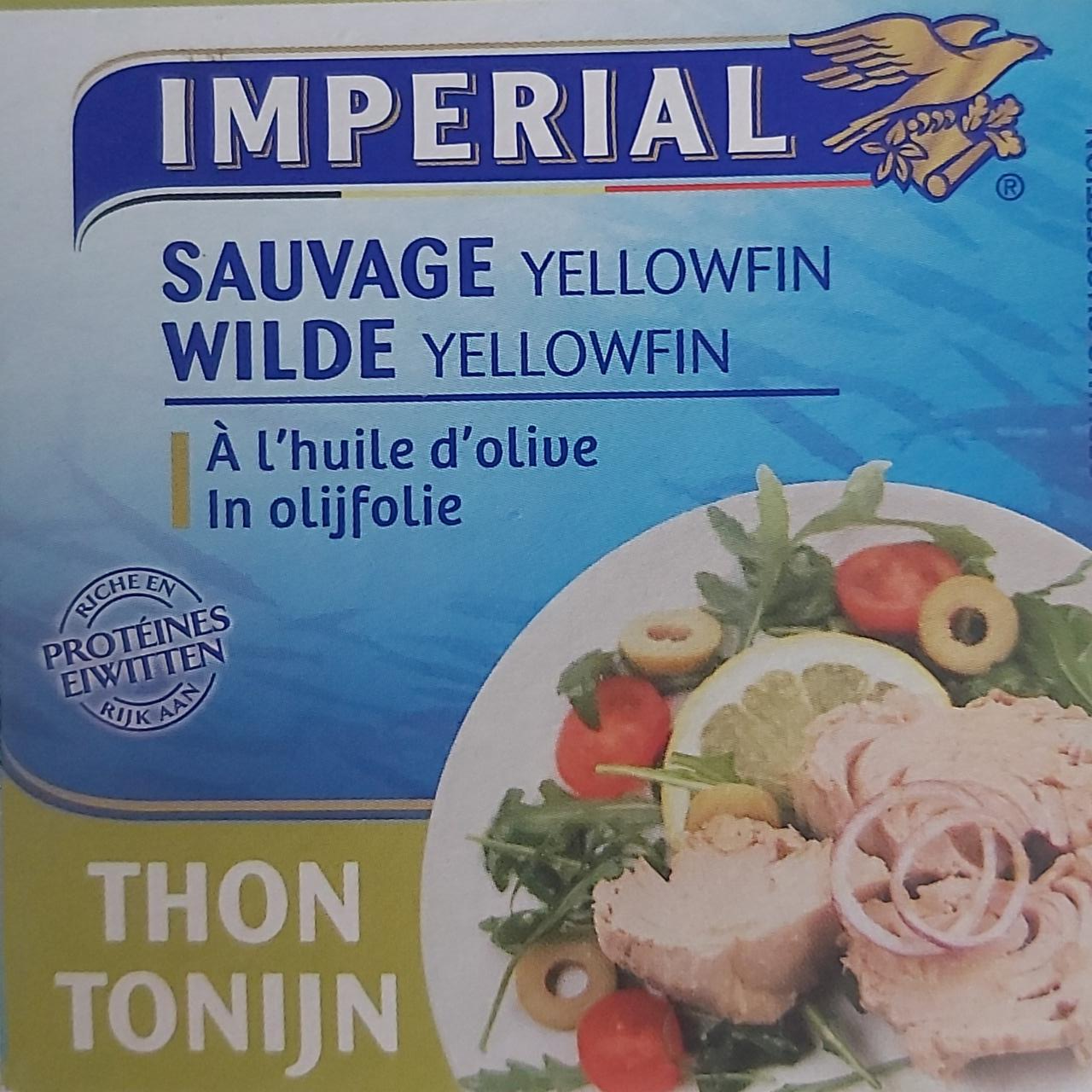 Fotografie - Thon sauvage yellowfin Imperial