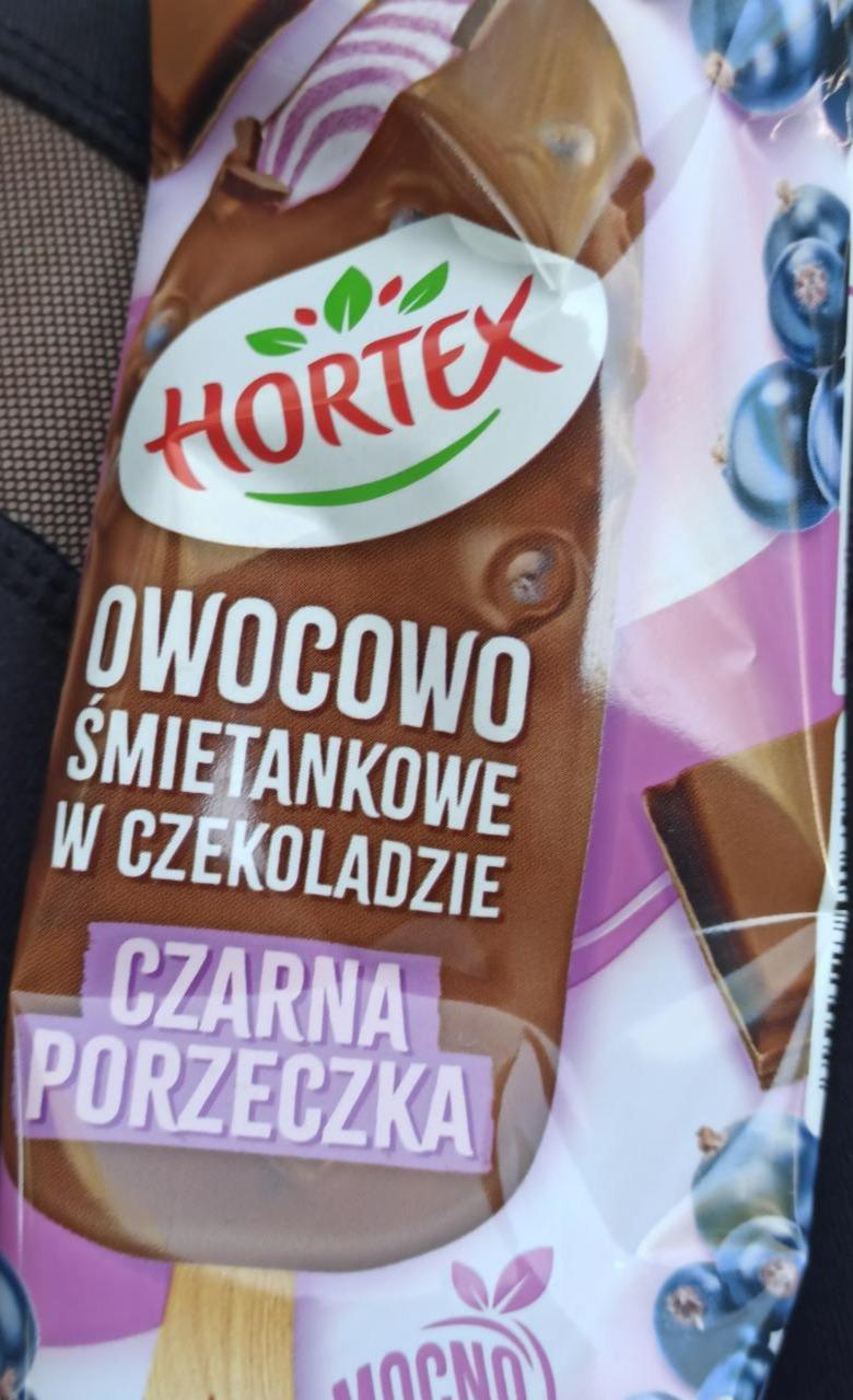 Fotografie - Owocowo śmietankowe w czekoladzie Czarna porzeczka Hortex