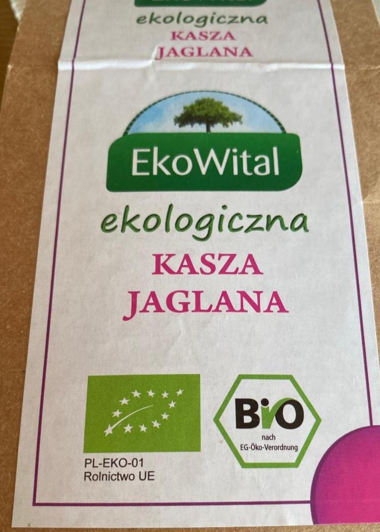 Fotografie - Jáhlová BIO kaše EkoWital
