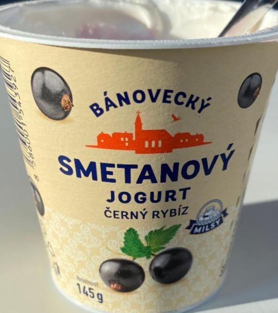 Fotografie - Smetanový jogurt černý rybíz Bánovecký jogurt