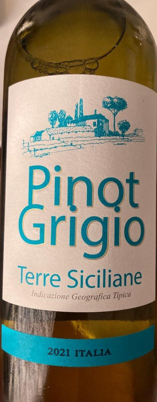 Fotografie - Pinot Grigio Terre Siciliane 2021