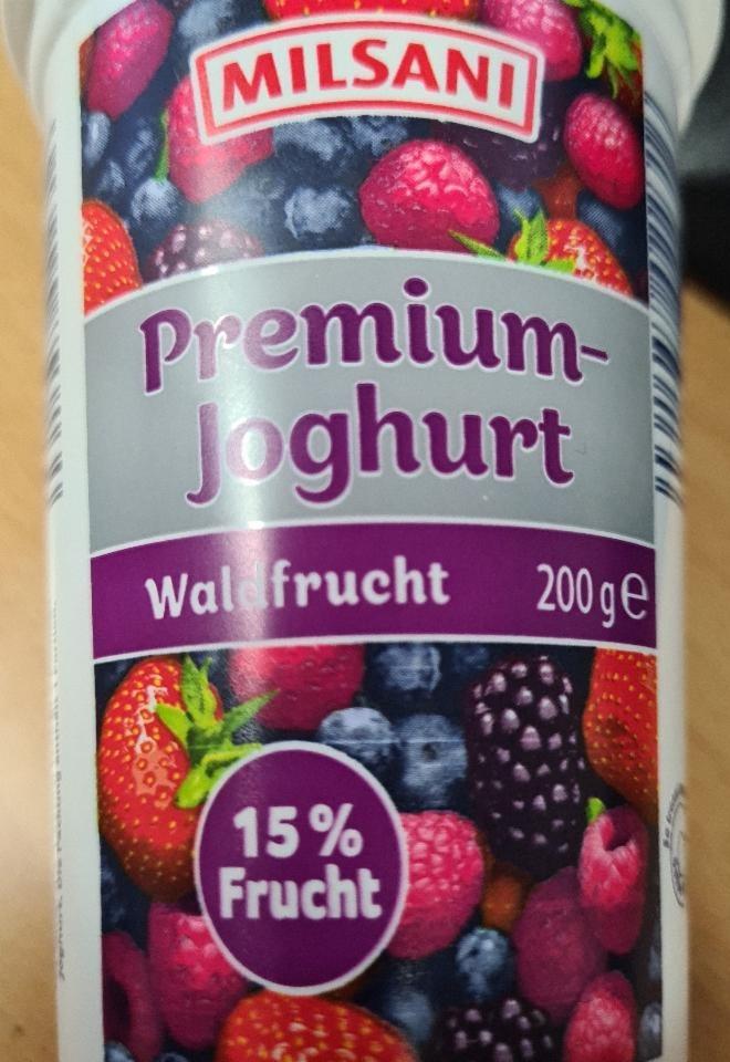 Fotografie - Premium Joghurt 15% Frucht Waldfrucht Milsani