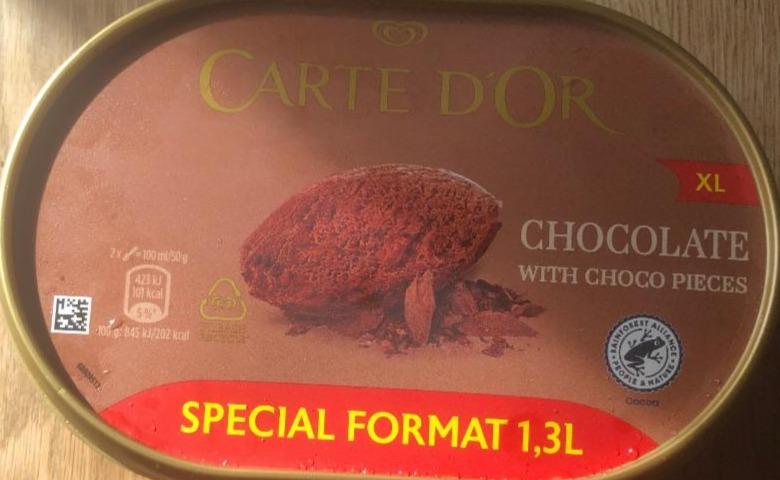 Fotografie - čokoládová zmrzlina s kousky čokolády Carte d'Or
