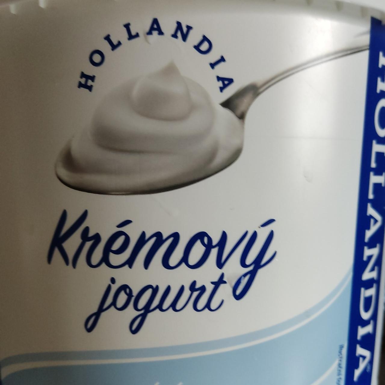 Fotografie - krémový jogurt hollandia 3kg Holandia