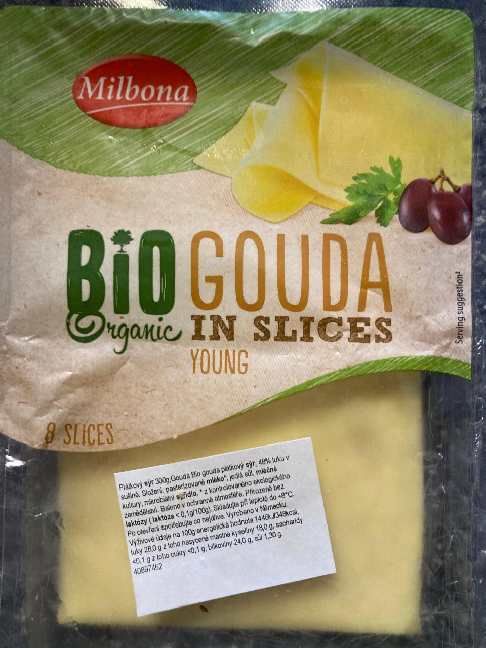 Fotografie - Bio Organic Gouda in slices Young Milbona