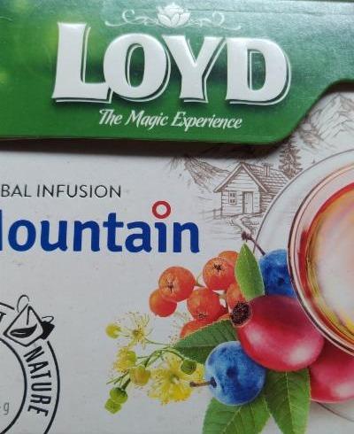 Fotografie - Herbal infusion Mountain (bylinkový čaj) Loyd