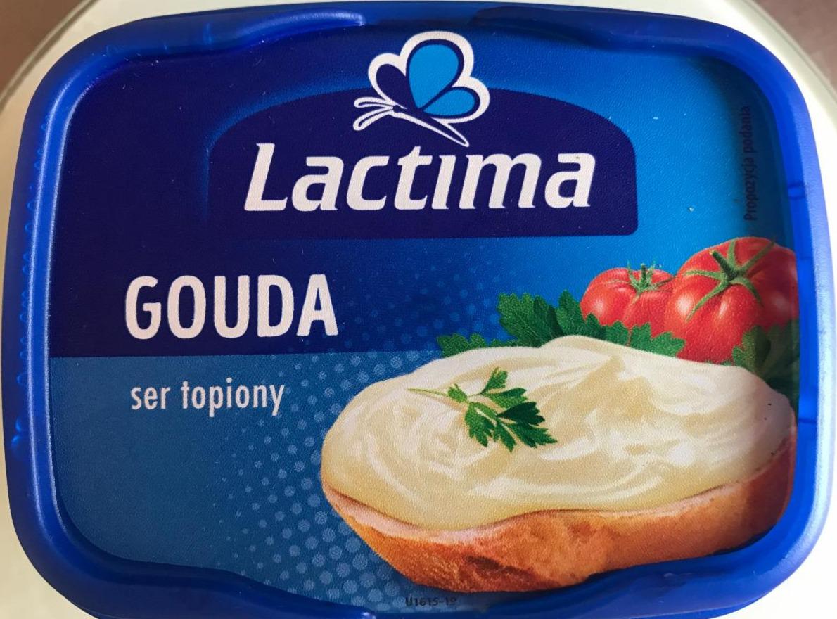 Fotografie - Sýr tavený Gouda Lactima