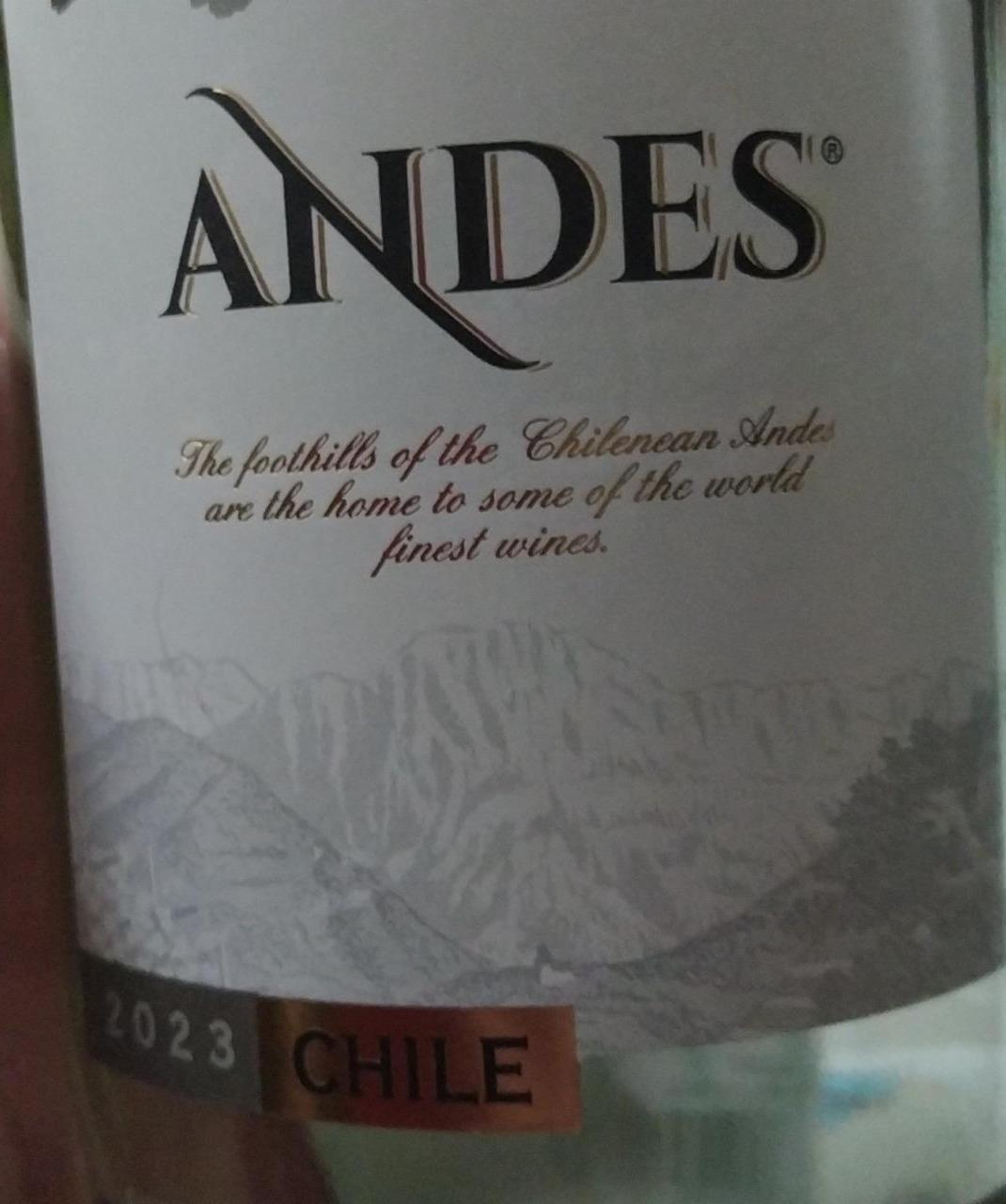 Fotografie - Chardonnay Chile Andes