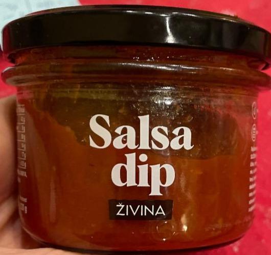 Fotografie - Salsa dip rajčatová omáčka Živina