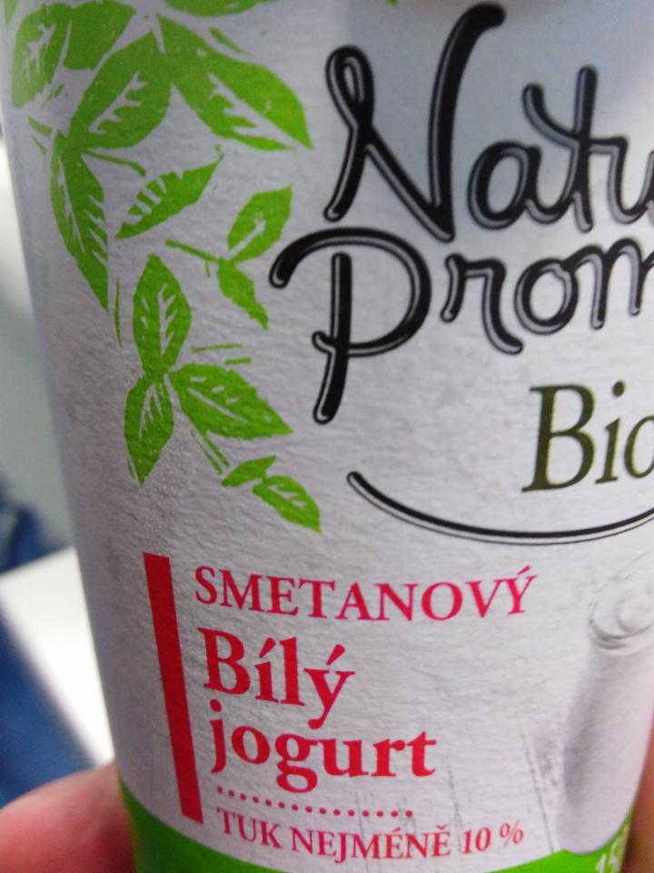Fotografie - Smetanový bílý jogurt 10% tuku Nature's Promise