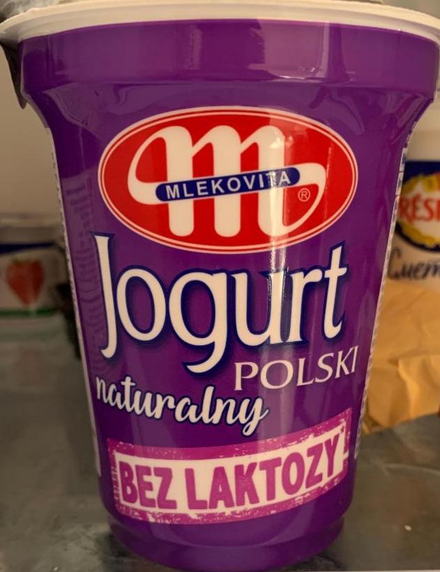 Fotografie - Jogurt Polski naturalny bez laktozy Mlekovita