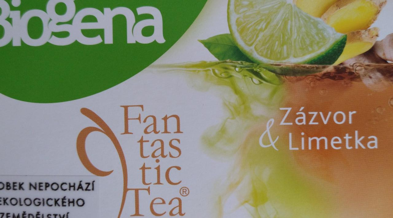 Fotografie - Fantastic Tea Zázvor & Limetka Biogena