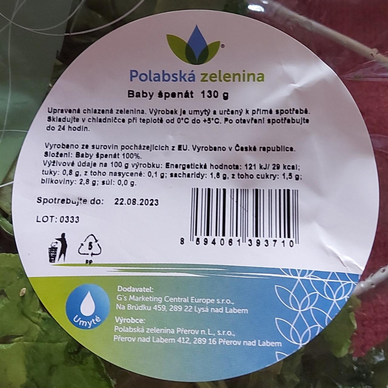 Fotografie - Baby špenát Polabská zelenina