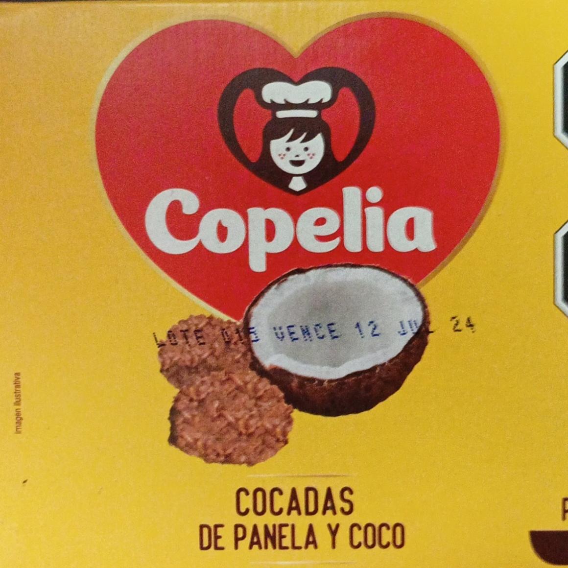 Fotografie - Cocadas de Panela y Coco Copelia