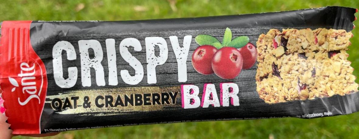 Fotografie - Crispy Oat & Cranberry Bar Sante