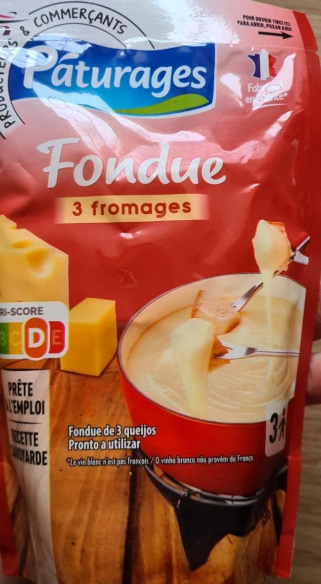 Fotografie - Fondue 3 fromages Paturages